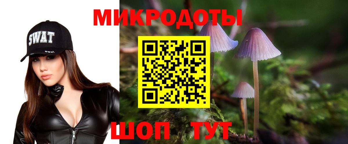 Галлюциногенные грибы Magic Shrooms  Вход с VPN  сколько стоит  Саров 